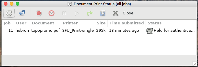 Job Held for Auth